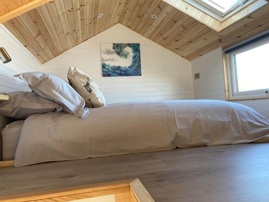 The Ashmere Tiny House Coldingham Extérieur photo