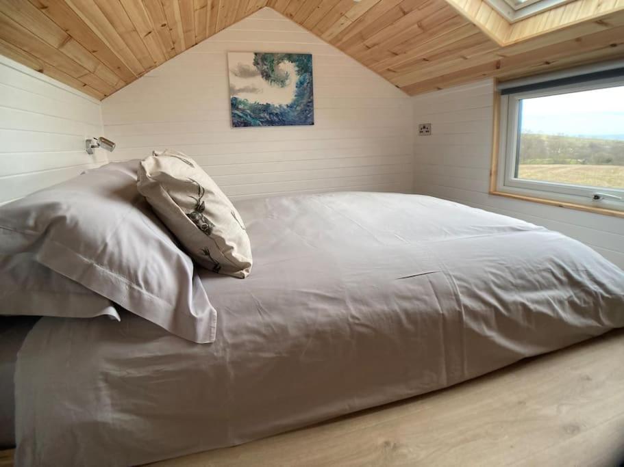 The Ashmere Tiny House Coldingham Extérieur photo